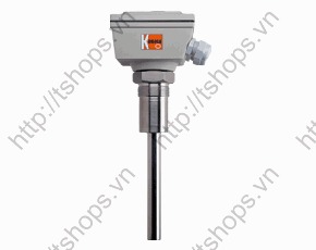 Vibrating Level Switch NVI 