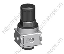 pressure regulator with continuous pressure supply | BG0