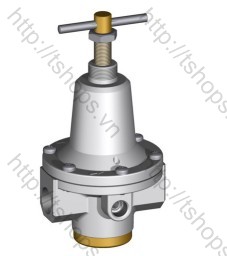 pressure regulator for oxygen | BG3