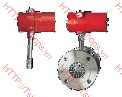 Mass Flowmeter-Thermal KES