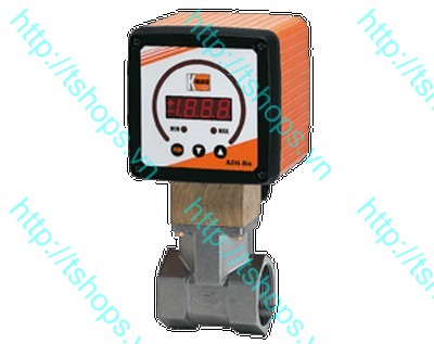 Paddle Torsion Meter/Switch DPT-..K