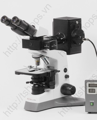 Fluorescence Microscopes Daffodil MCX100 