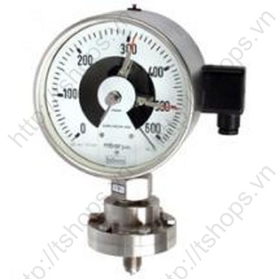 Absolute pressure gauge BF2