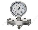 Diaphragm Pressure Gauges MAN-P