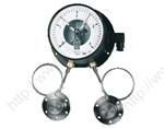 Differential Pressure Gauge with Bourdon Tube MAN-DG12R