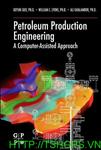 Petroleum Production Engineering Elsevier (2008)				 