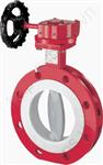 Shut-off  and Control butterfly valves NK