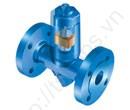 Accessories Steam-Condensate discharge temperature limiter